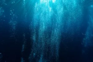 ആഴക്കടലിന്റെ കാഴ്ചകൾ തുറന്ന് CMFRI